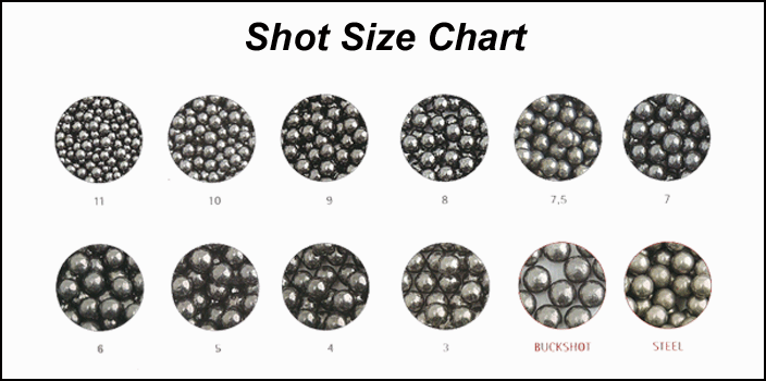 Buckshot Size Chart