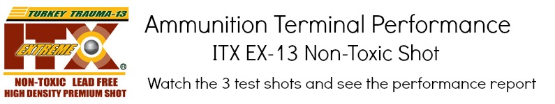 ITX EX-13 Shot Video