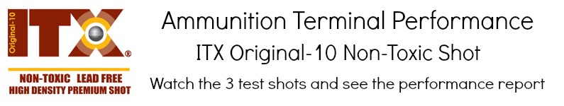 ITX Original-10 Shot Video