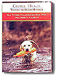 About Dog Training