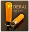 Federal 20ga 2.75