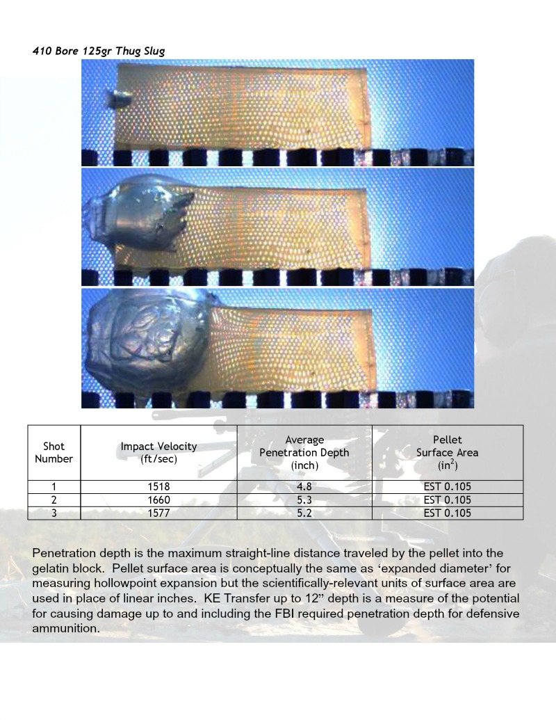 410 Ballistics Chart