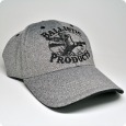 BPI Gray Logo Cap