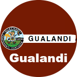 Gualandi wads