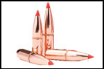 Bullets
